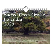 2026 Sacred Trees Oracle Calendar (PRE-ORDER)