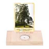 Oracle Card / Tarot Card Holder (PRE-ORDER)
