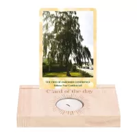 Oracle Card / Tarot Card Holder (PRE-ORDER)