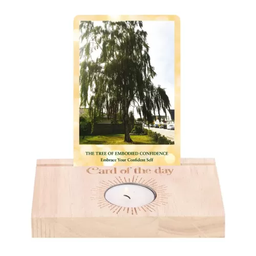 Oracle Card / Tarot Card Holder (PRE-ORDER)